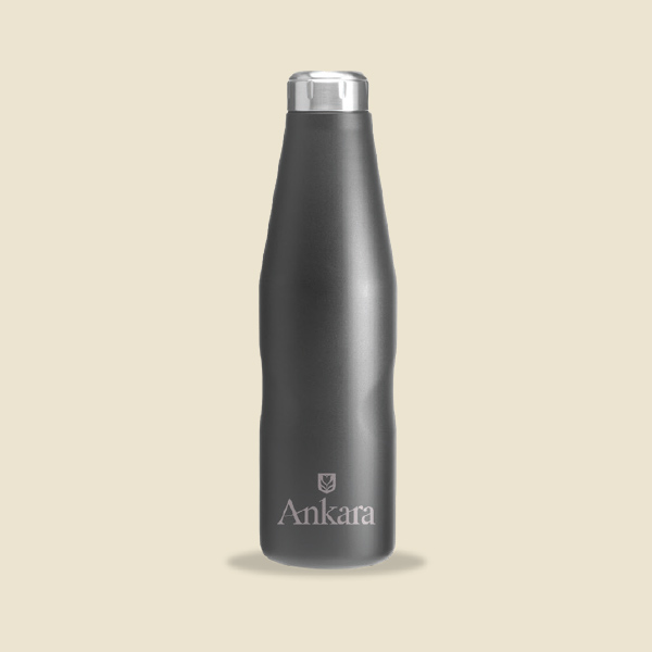 Explorer Insulated Bottle